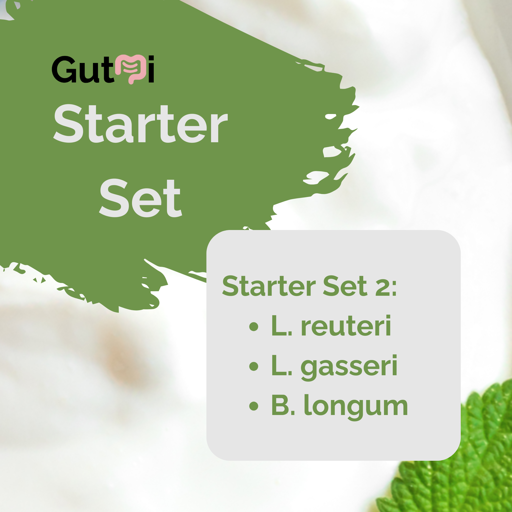 L. reuteri + L. gasseri + B. longum | Joghurt Starter Set | Leichter Darm | Starterkulturen | Packung mit 3