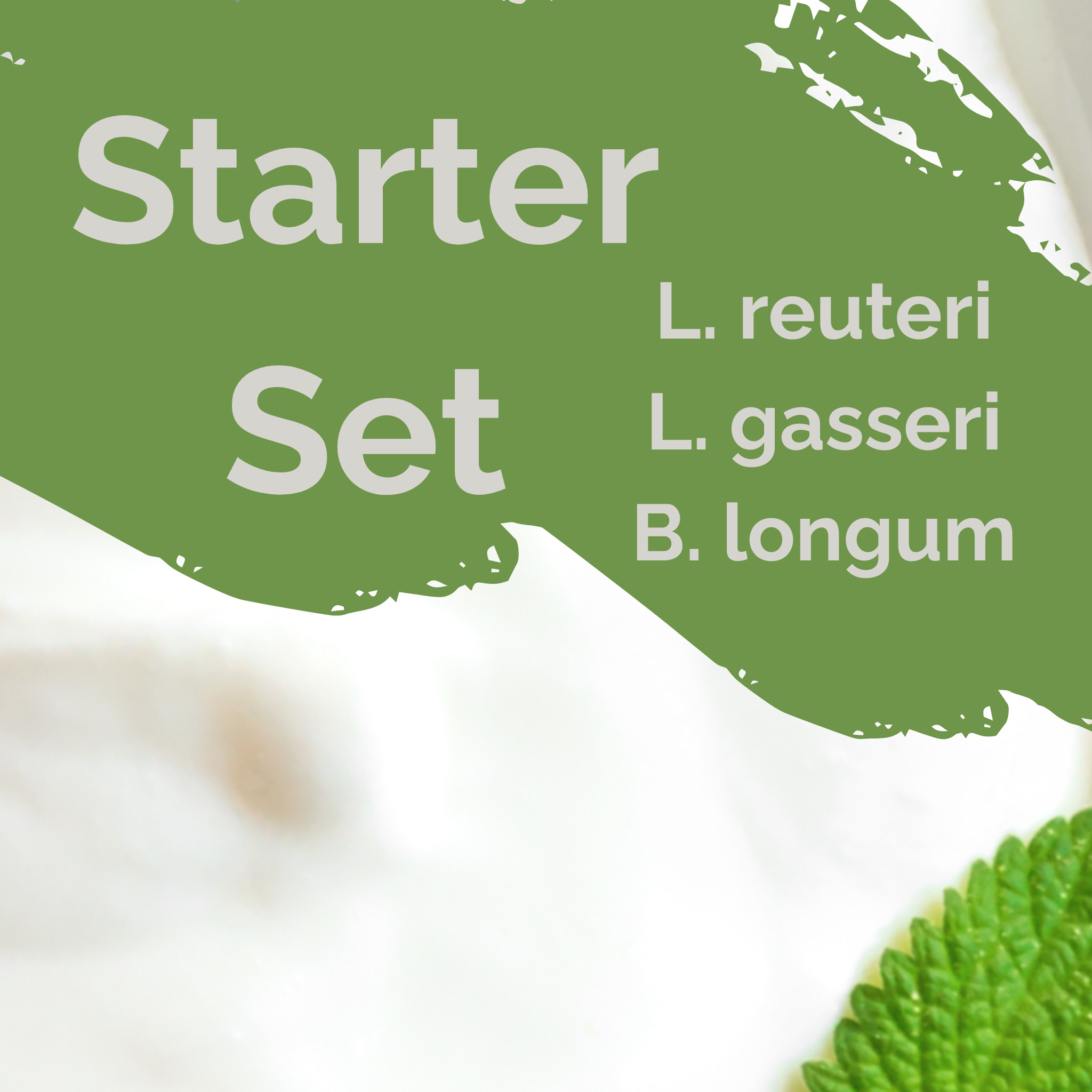 L. reuteri + L. gasseri + B. longum | Set Starter Yogurt | Light Gut | Colture Starter | Confezione da 3