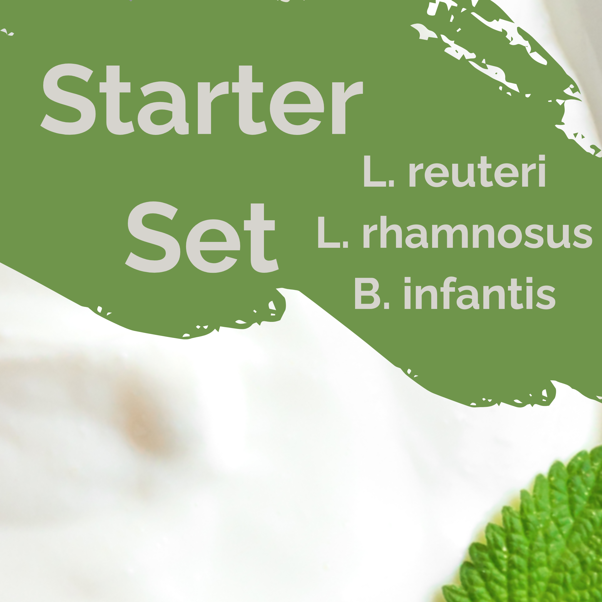 L. reuteri + L. rhamnosus + B. infantis | Set Starter Yogurt | Intestino Felice | Colture Starter | Confezione da 3