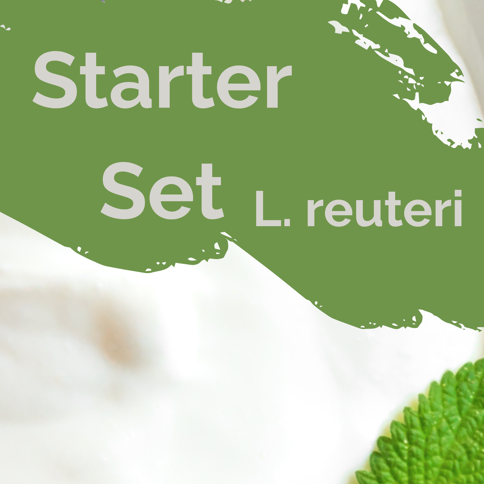 L. reuteri | Set Starter Yogurt | Colture Starter | Confezione da 3