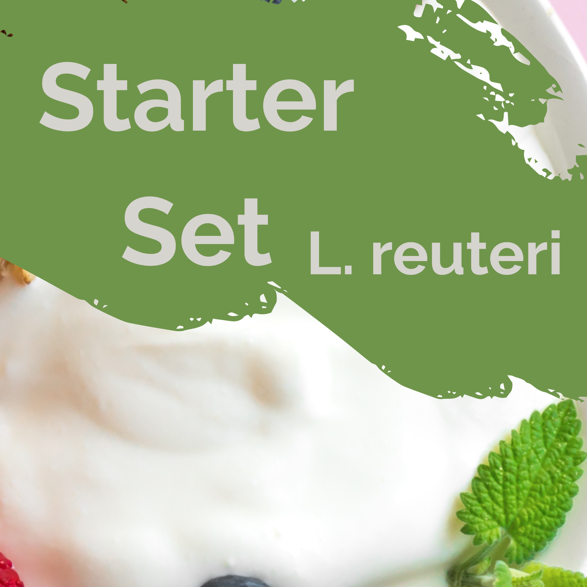 Starter-Set L. reuteri-Joghurt