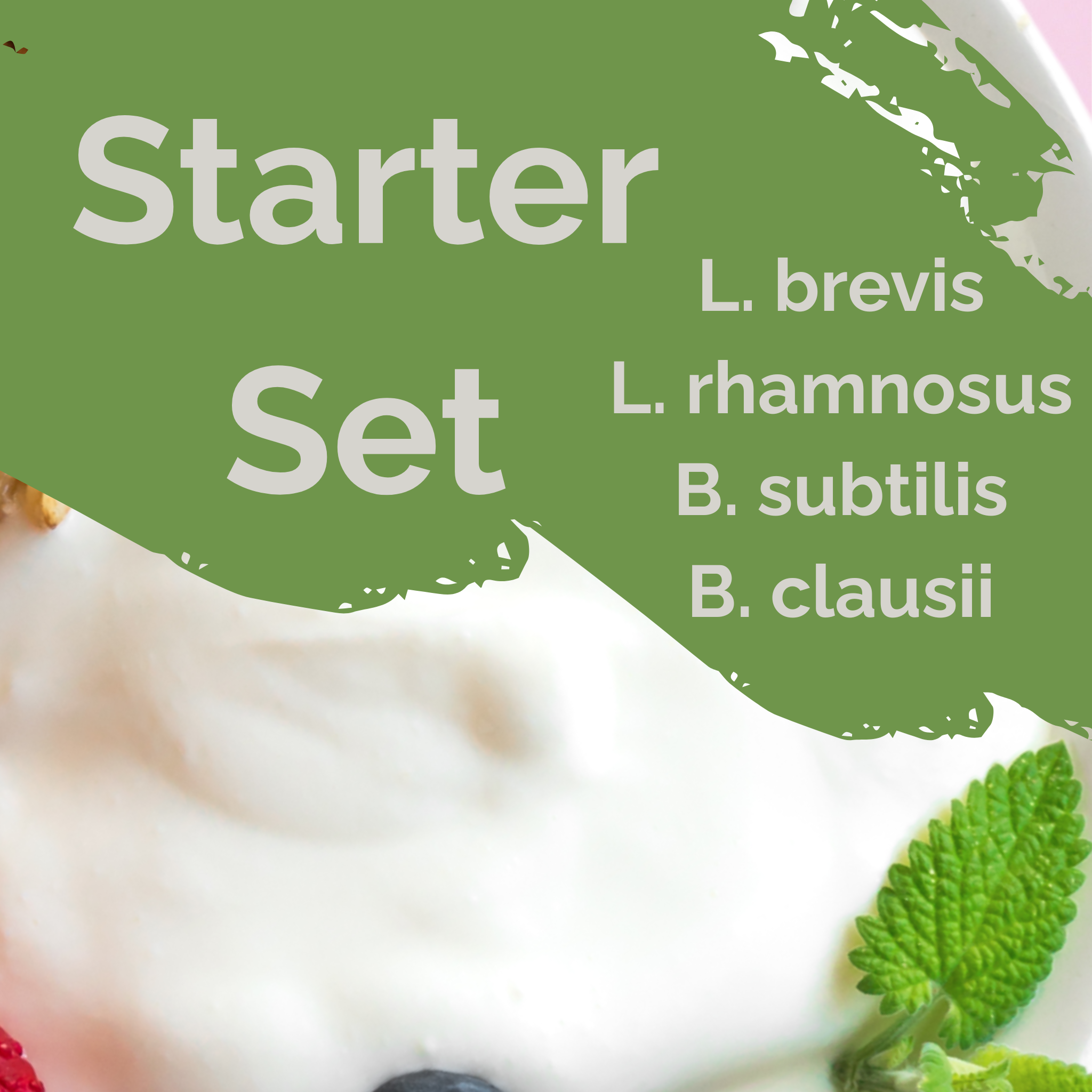 L. brevis + L. rhamnosus + B. subtilis + B. clausii | Joghurt Starter Set | Darm Schutz | Starterkulturen | Packung mit 3