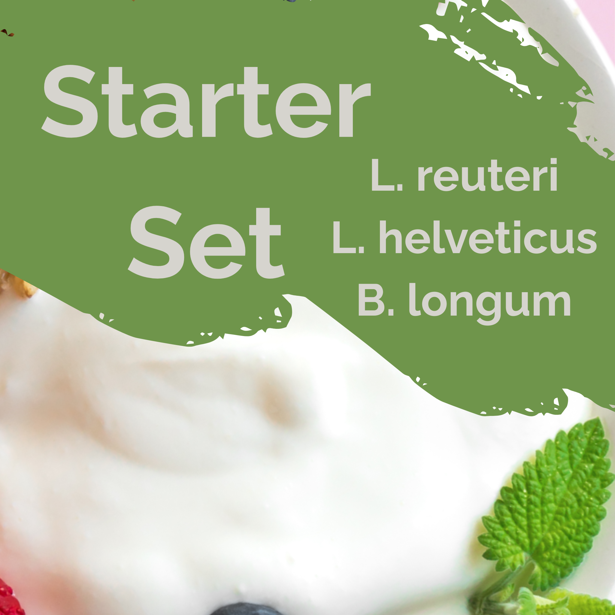 L. reuteri + L. helveticus + B. longum | Joghurt Starter Set | Darmharmonie | Starterkulturen | Packung mit 3