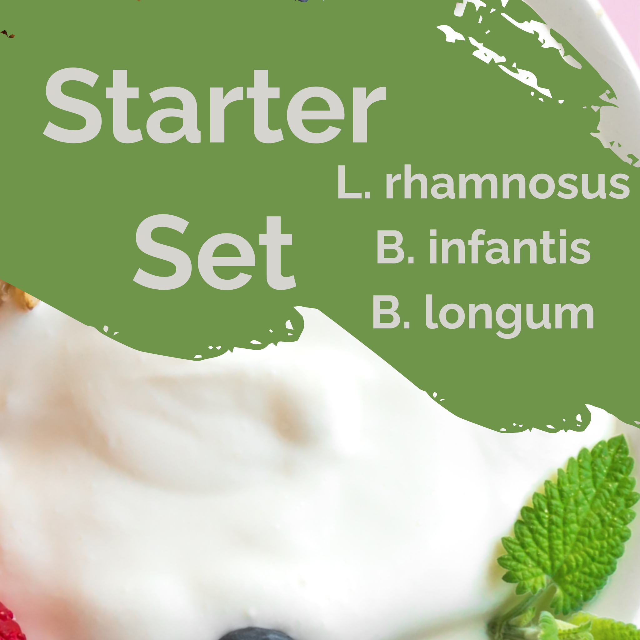 L. rhamnosus + B. infantis + B. longum | Joghurt Starter Set | Darm Balance | Starterkulturen | Packung mit 3